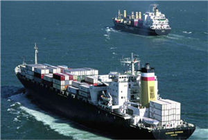 產品展示與貨物進出口 全球貿易的橋梁與窗口